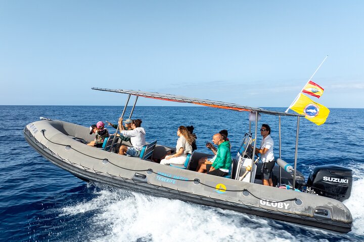 Whale Watching experience