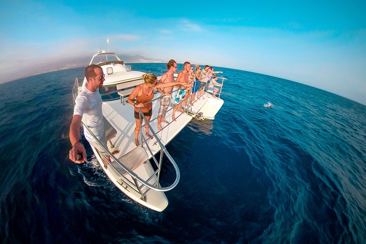 Boat Tours experience